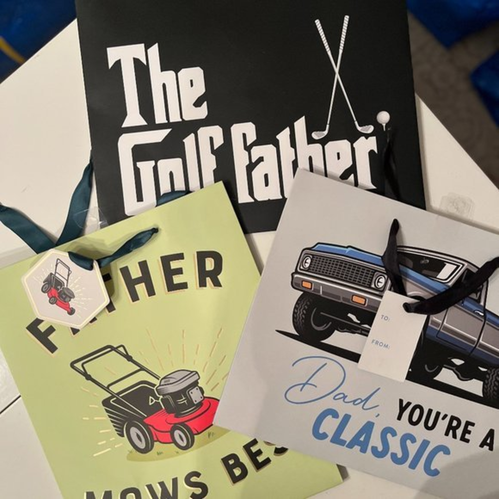 Gift Bags for Dad!  (Set of 3 / new)‎